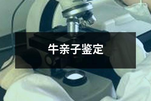 牛亲子鉴定
