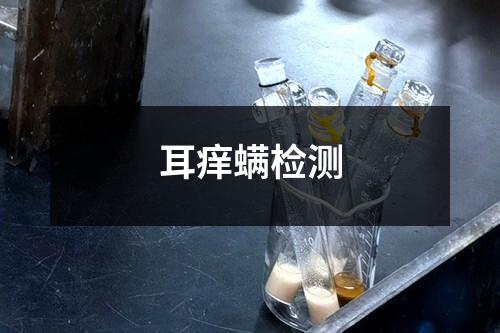 耳痒螨检测