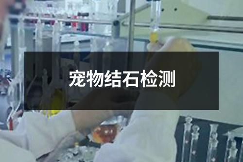 宠物结石检测