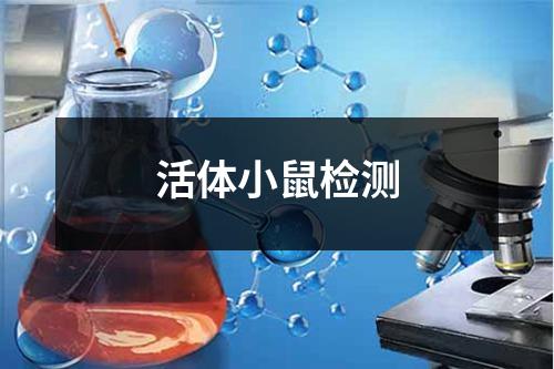 活体小鼠检测