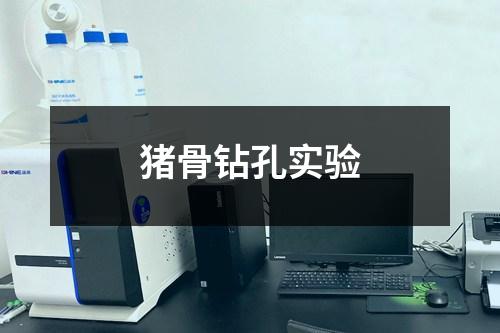 猪骨钻孔实验