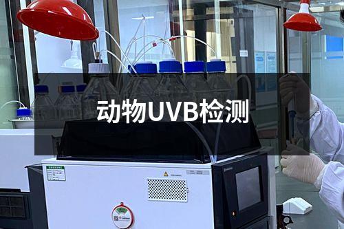 动物UVB检测