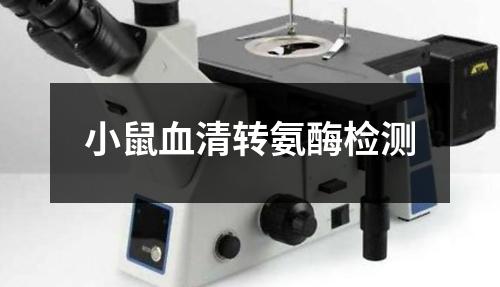 小鼠血清转氨酶检测