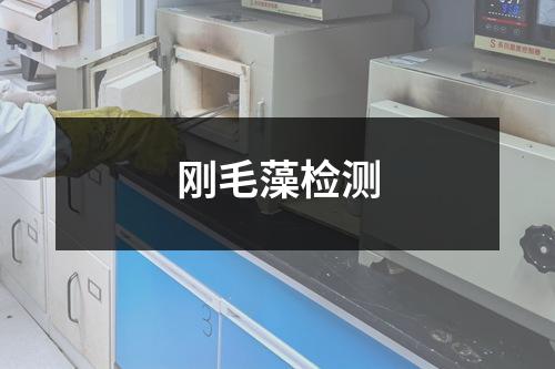 刚毛藻检测