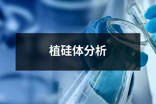 植硅体分析