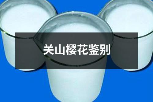 关山樱花鉴别