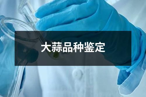 大蒜品种鉴定