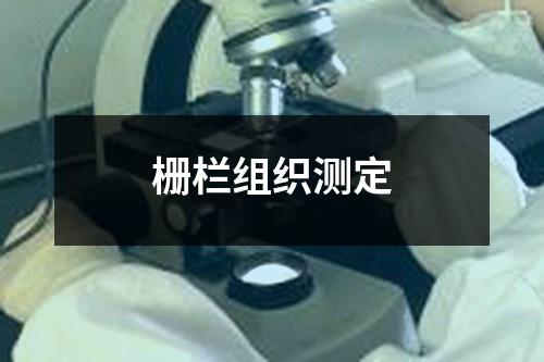 栅栏组织测定