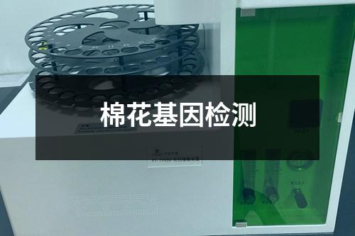 棉花基因检测