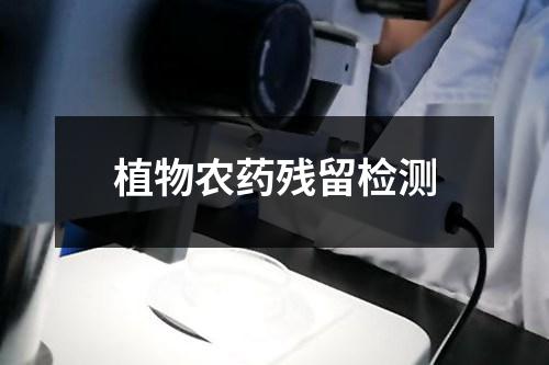 植物农药残留检测