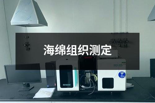 海绵组织测定