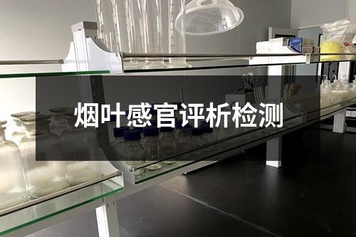 烟叶感官评析检测