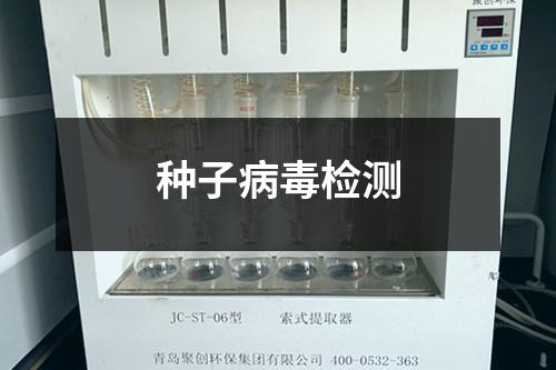 种子病毒检测