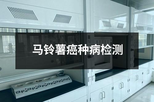 马铃薯癌种病检测