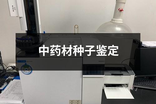 中药材种子鉴定