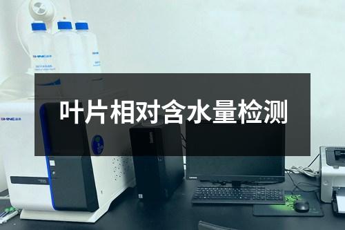 叶片相对含水量检测