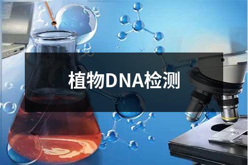 植物DNA检测