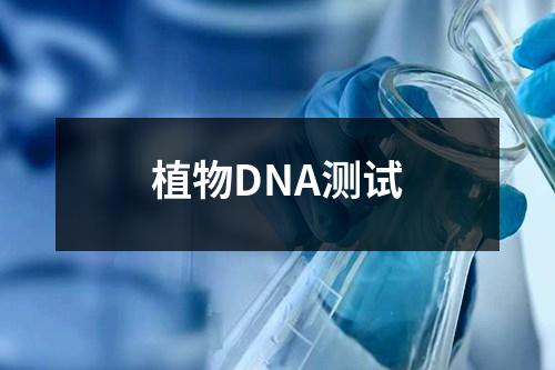 植物DNA测试