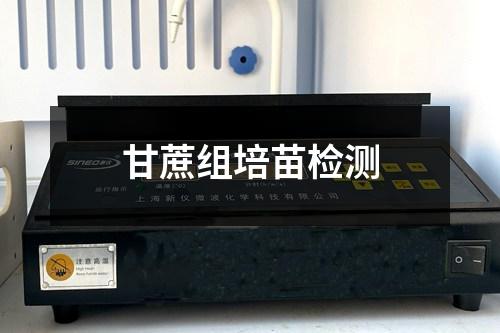甘蔗组培苗检测