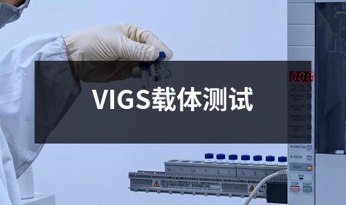 VIGS载体测试