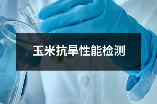 玉米抗旱性能检测