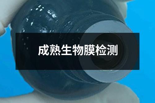 成熟生物膜检测