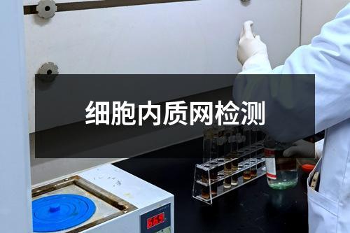 细胞内质网检测
