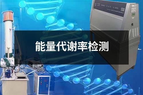 能量代谢率检测