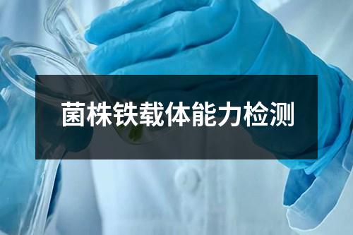 菌株铁载体能力检测