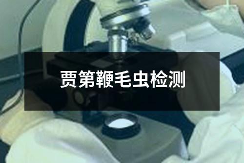 贾第鞭毛虫检测