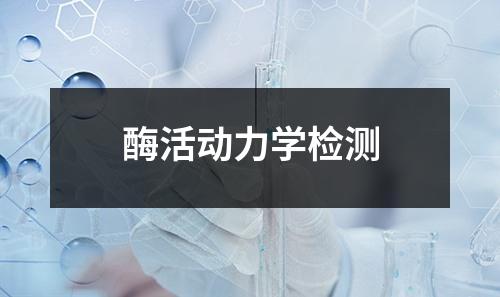 酶活动力学检测