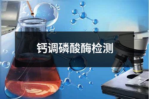 钙调磷酸酶检测