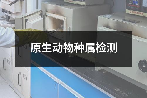 原生动物种属检测