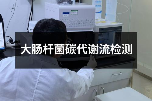 大肠杆菌碳代谢流检测