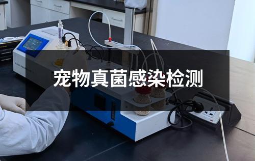 宠物真菌感染检测