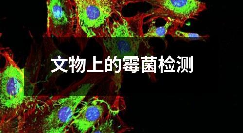 文物上的霉菌检测