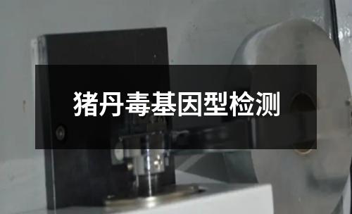 猪丹毒基因型检测