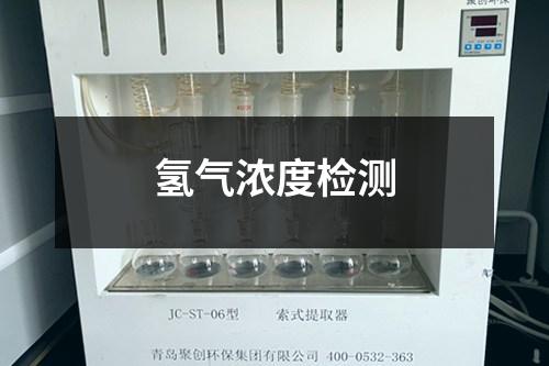 氢气浓度检测