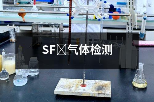 SF₆气体检测