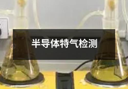 半导体特气检测