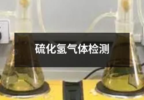 硫化氢气体检测