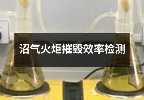 沼气火炬摧毁效率检测