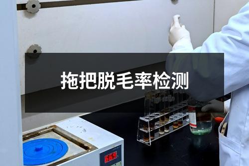 拖把脱毛率检测