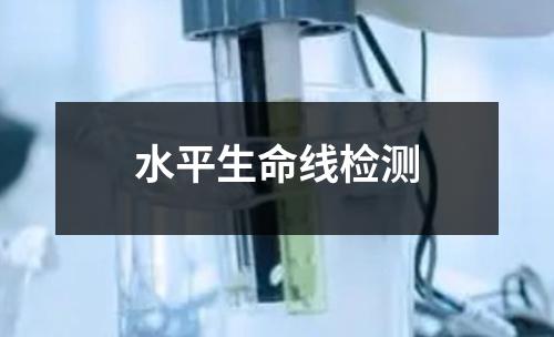 水平生命线检测