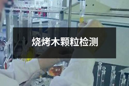 烧烤木颗粒检测