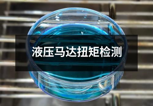 液压马达扭矩检测