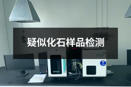 疑似化石样品检测