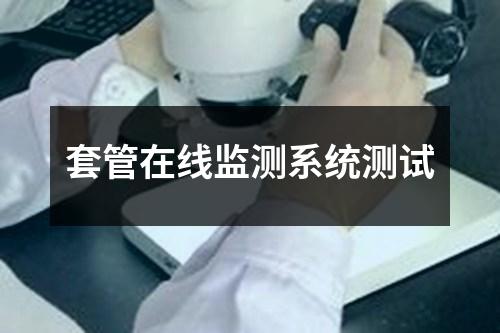 套管在线监测系统测试