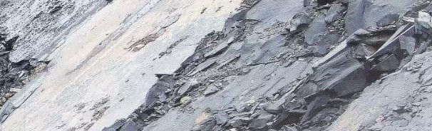 丰度测试