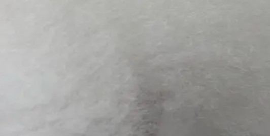 水蒸气透过率测试
